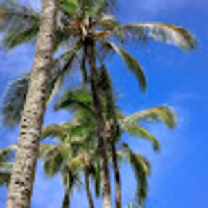 Meet your Posher, Patti